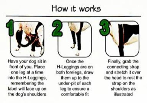 dog leggings for back legs