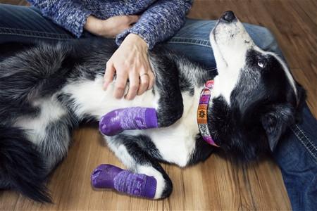 non slip booties for dogs