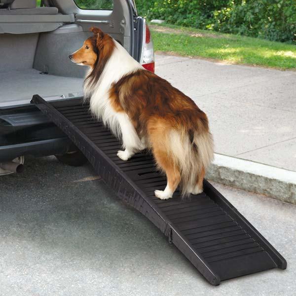 pet ramp