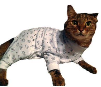 Tulane S Closet Cat Post Surgery Onesie Keep Doggie Safe