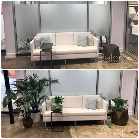 before and after waiting area office