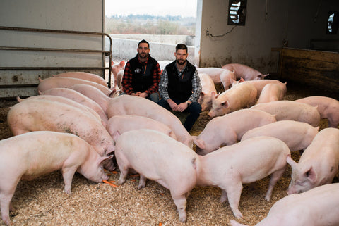 Berryman brothers in the barn with pigs