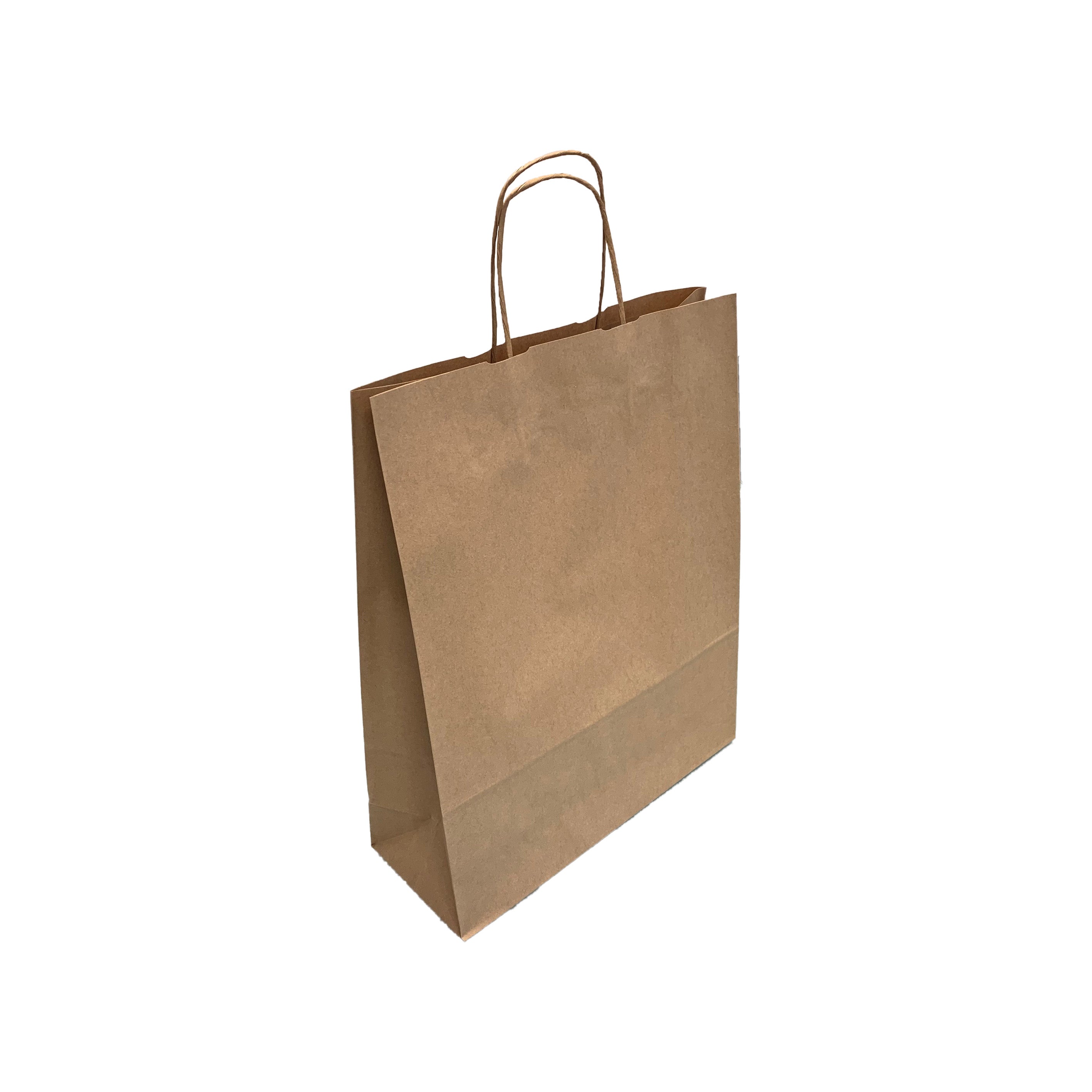 brown paper twist handle bags