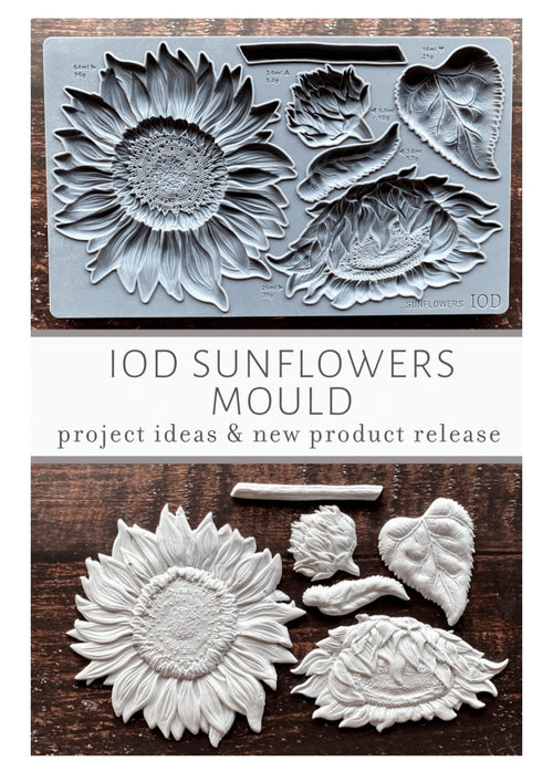 Iron Orchid Designs Cameos IOD Mould