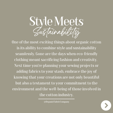 Style Meets Sustainability