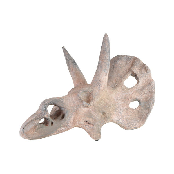 Torosaurus Skull Sculpture - Luxury Home Accessories - 5mm Design Store London