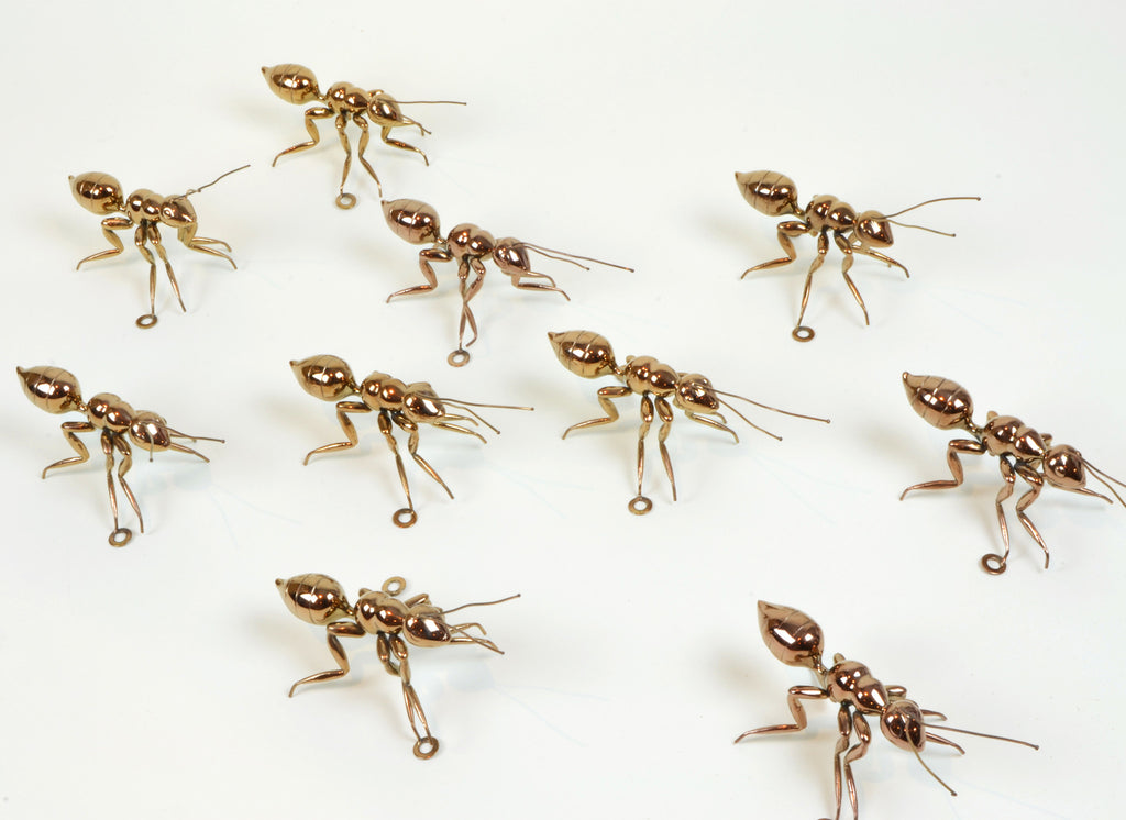 Copper Ant - Home Accessories & Decor - 5mm Design Store London