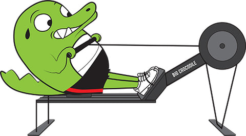 Indoor Rowing Big Crocodile