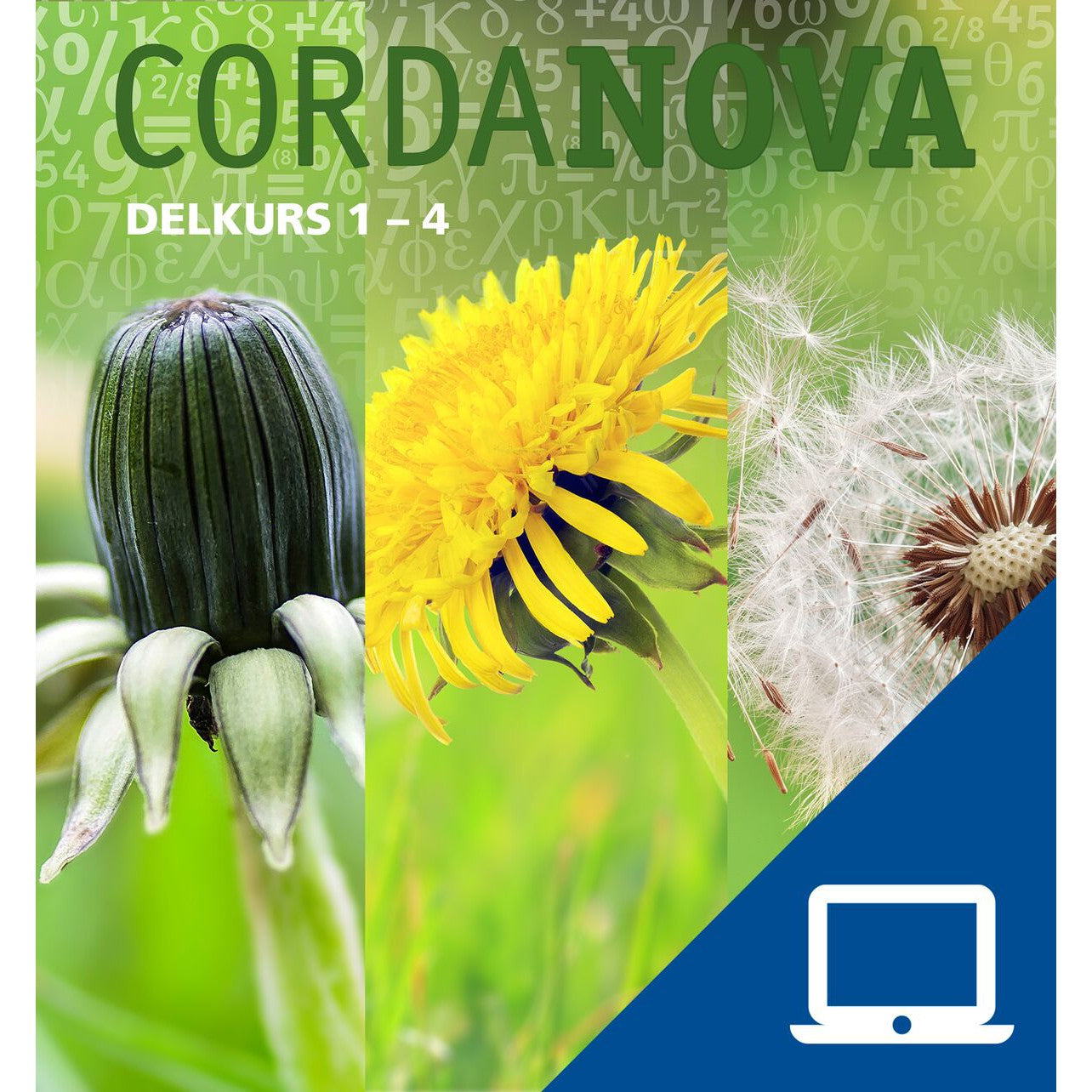 Läs mer om CordaNova delkurs 1-4, digitalt lärarmaterial, 12 mån