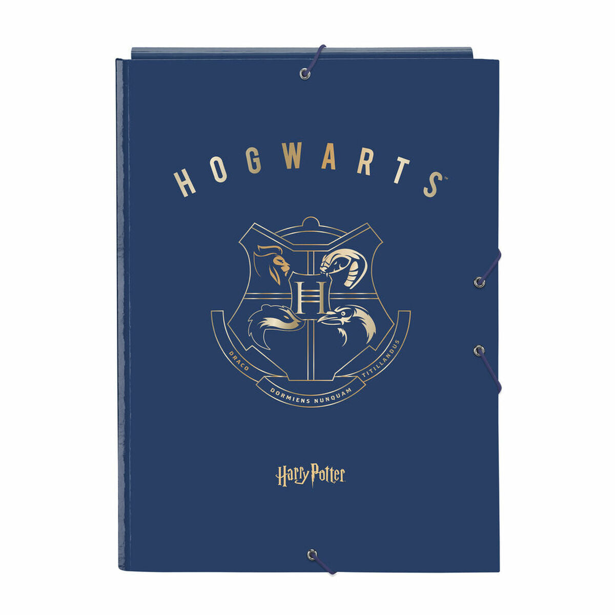 Läs mer om Folder Harry Potter Magical Brun Marinblå A4