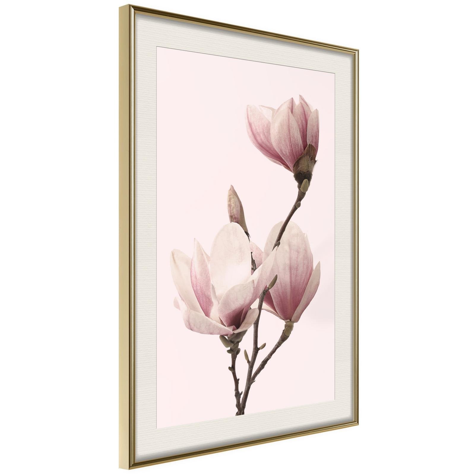 Läs mer om Inramad Poster / Tavla - Blooming Magnolias III - 40x60 Guldram med passepartout