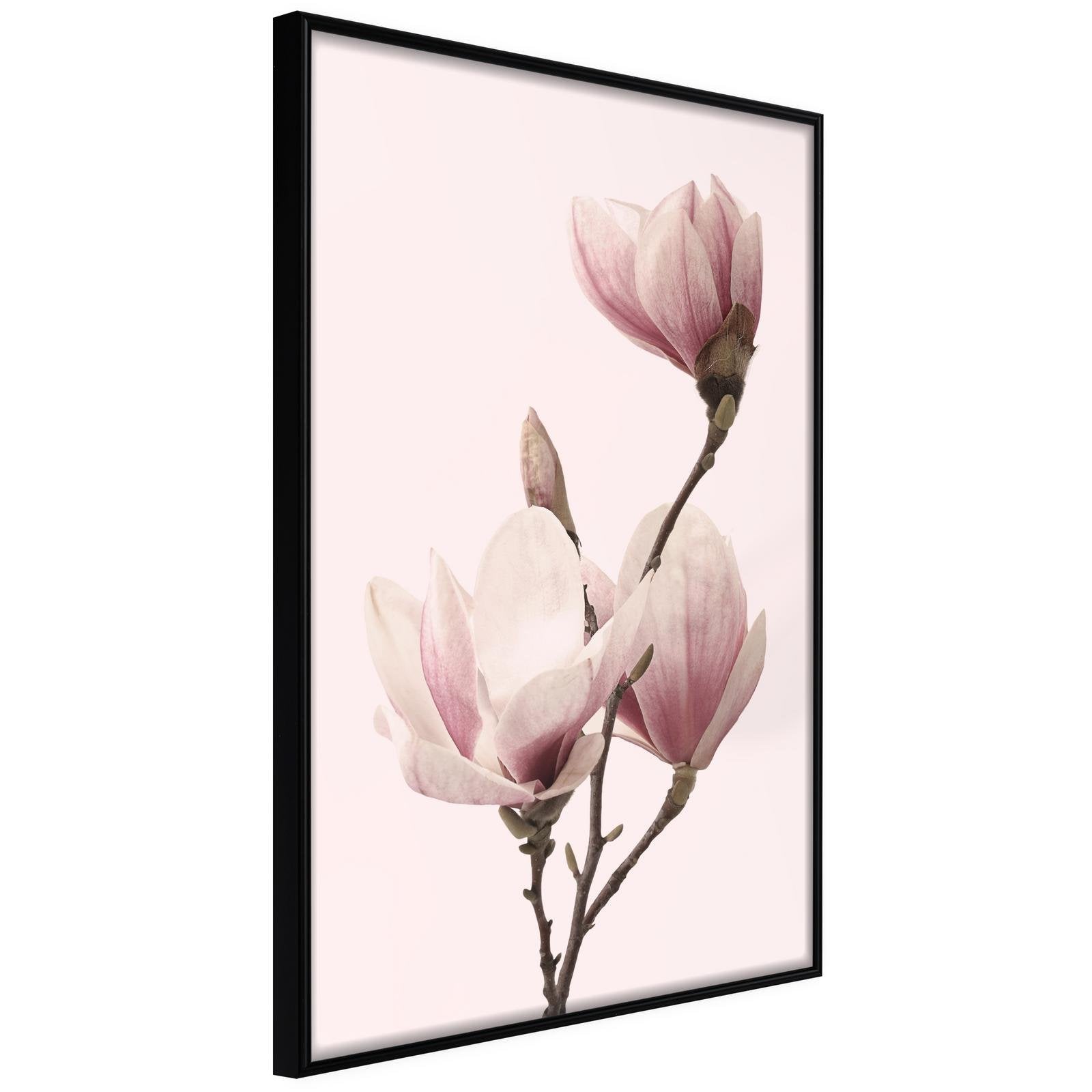 Läs mer om Inramad Poster / Tavla - Blooming Magnolias III - 40x60 Svart ram