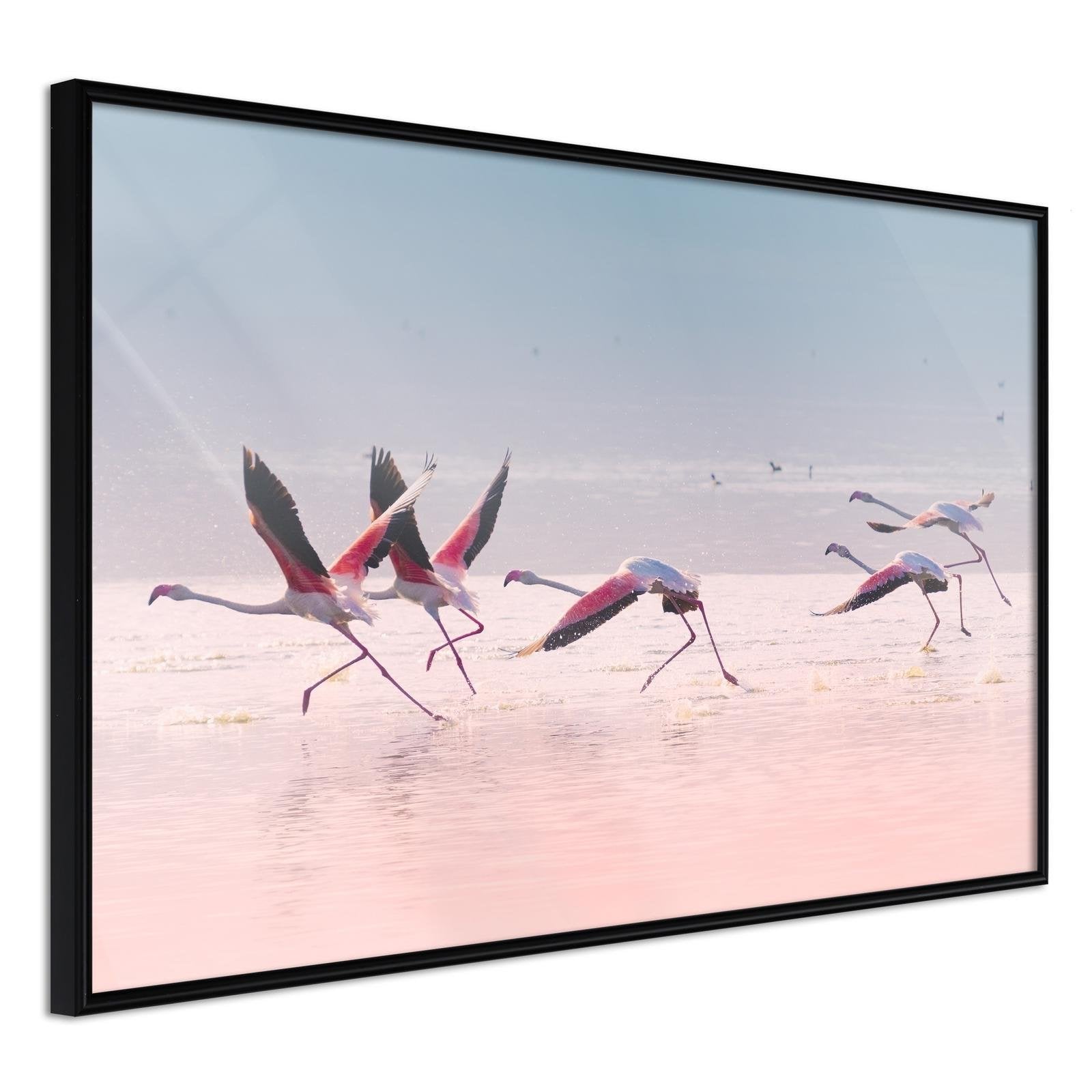 Läs mer om Inramad Poster / Tavla - Flamingos Breaking into a Flight - 90x60 Svart ram