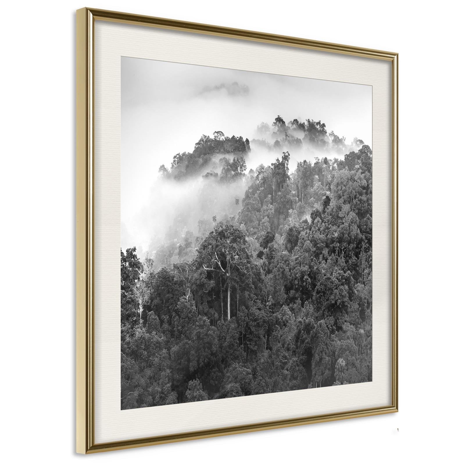 Läs mer om Inramad Poster / Tavla - Foggy Forest - 20x20 Guldram med passepartout