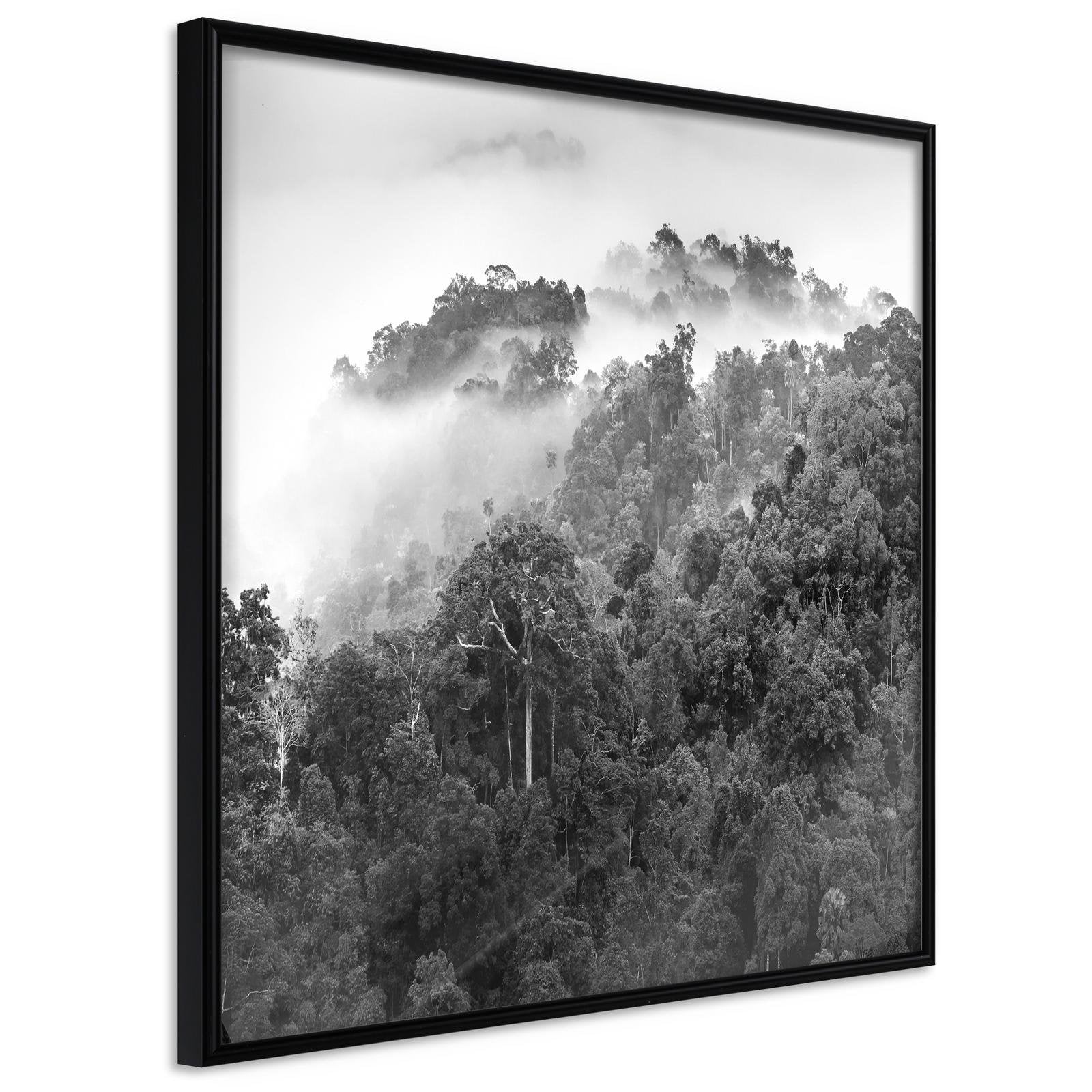 Läs mer om Inramad Poster / Tavla - Foggy Forest - 50x50 Svart ram