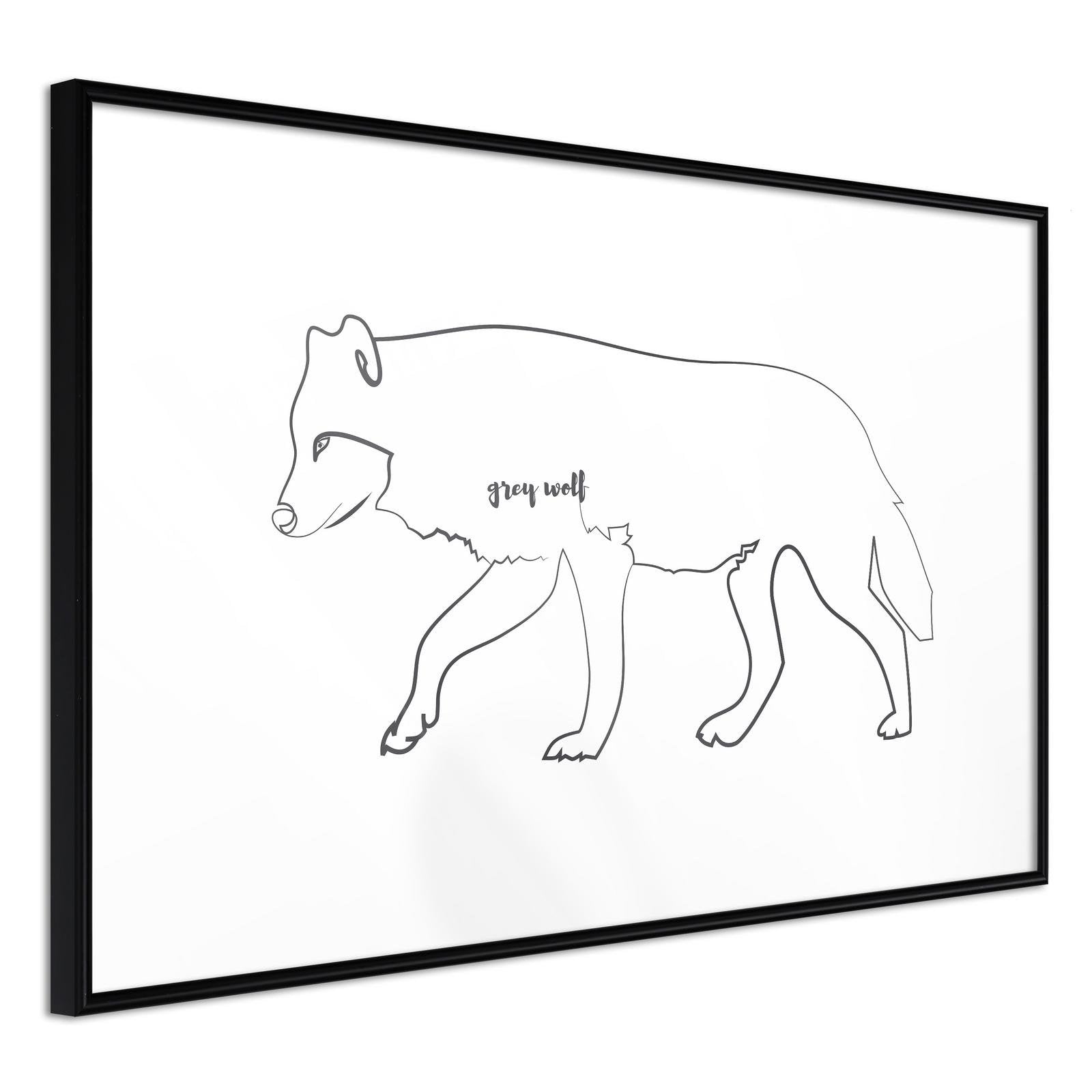 Inramad Poster / Tavla - Grey Wolf - 45x30 Svart ram