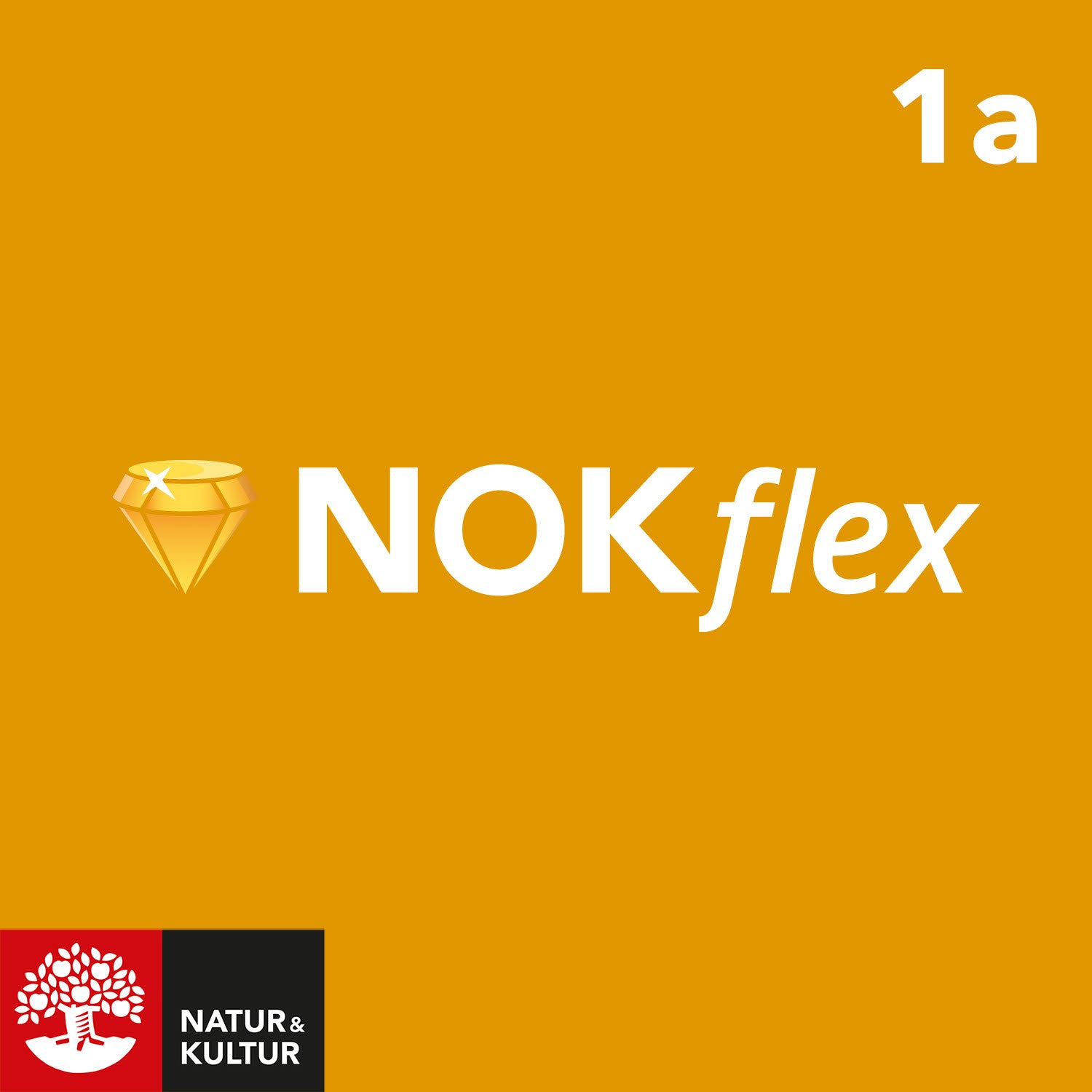 Läs mer om NOKflex Matematik 1a Gul