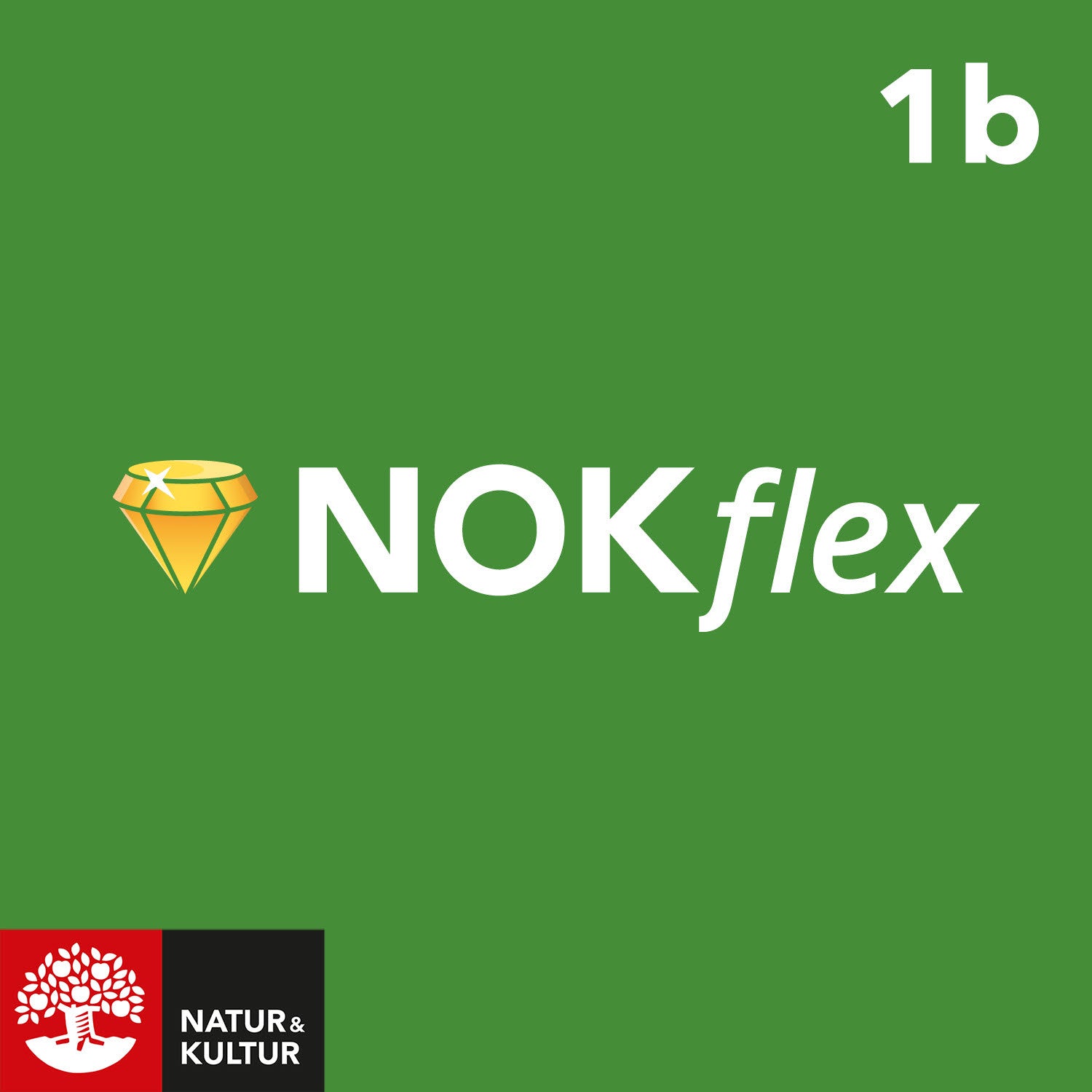 Läs mer om NOKflex Matematik 1b