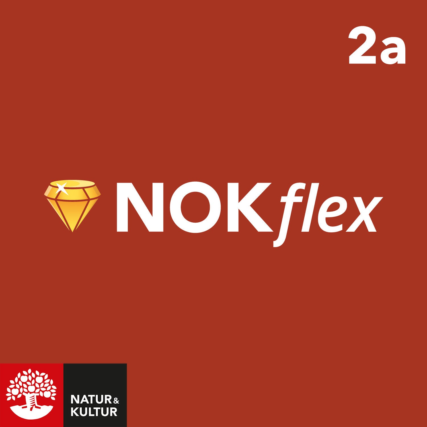 Läs mer om NOKflex Matematik 2a