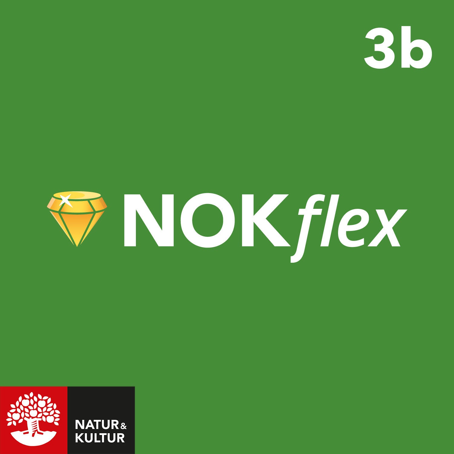 Läs mer om NOKflex Matematik 3b