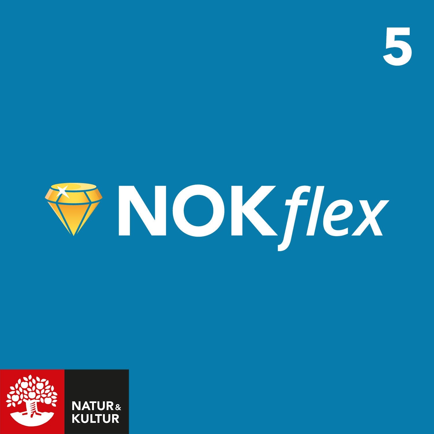 Läs mer om NOKflex Matematik 5