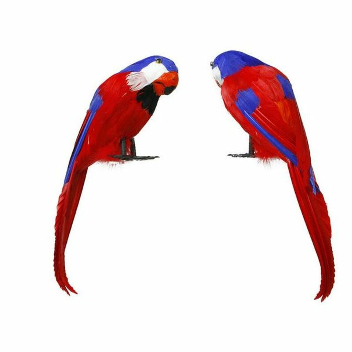 Läs mer om Papegoja Multicolour
