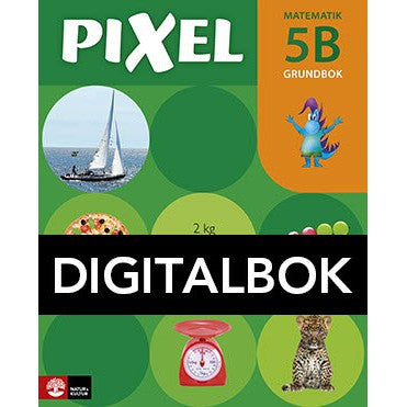 Läs mer om Pixel 5B Grundbok Digital u ljud,
