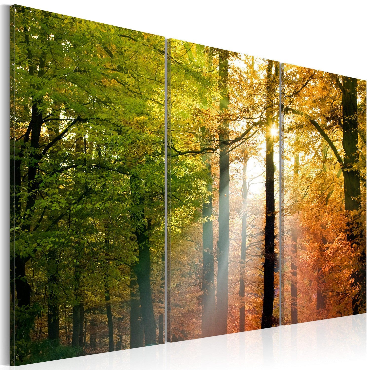 Läs mer om Canvas Tavla - A calm autumn forest - 90x60