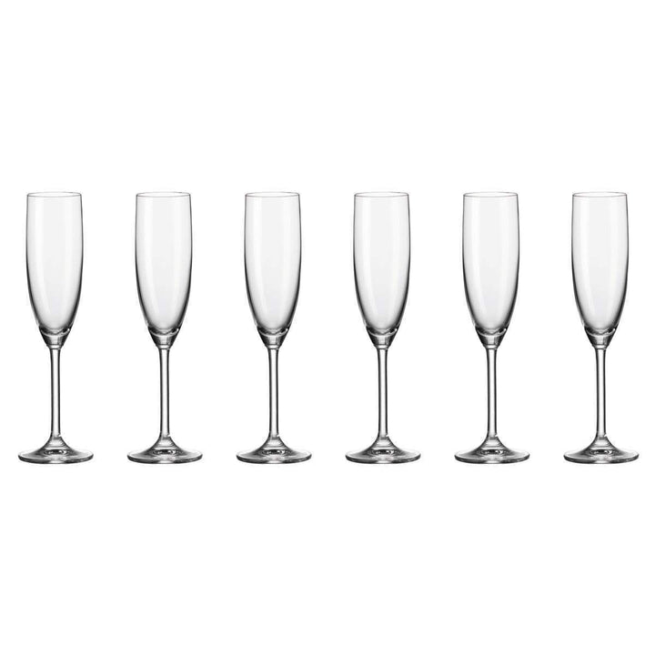 DAILY Champagneglas – 6-pack