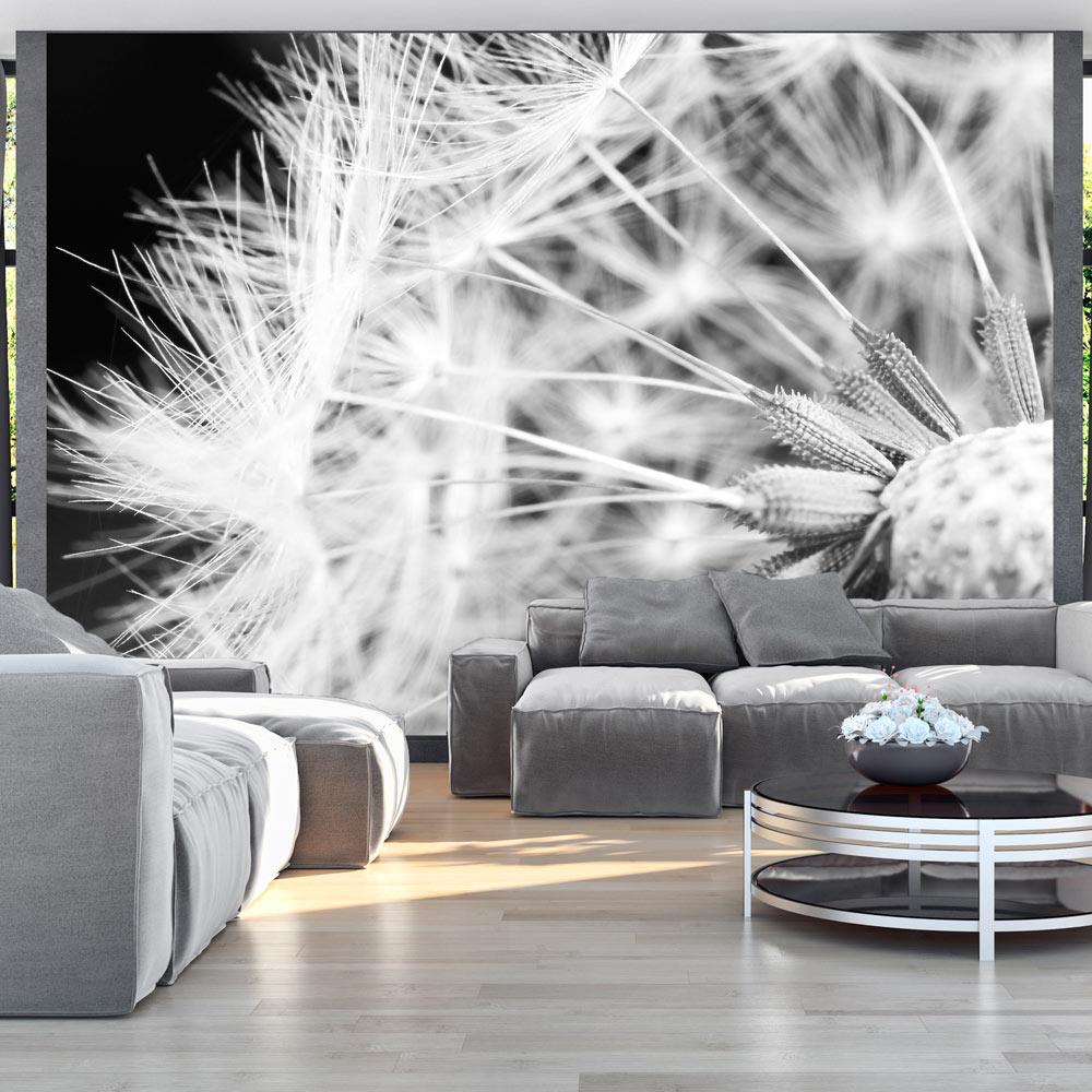 Läs mer om Fototapet - Black and white dandelion - 300x210