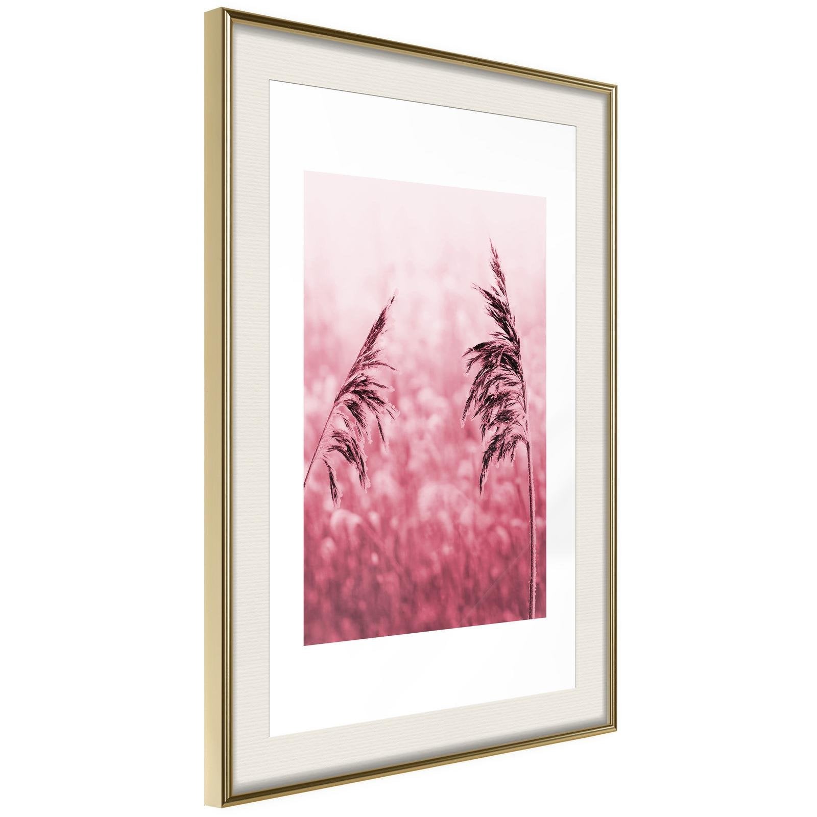 Läs mer om Inramad Poster / Tavla - Amaranth Meadow - 20x30 Guldram med passepartout