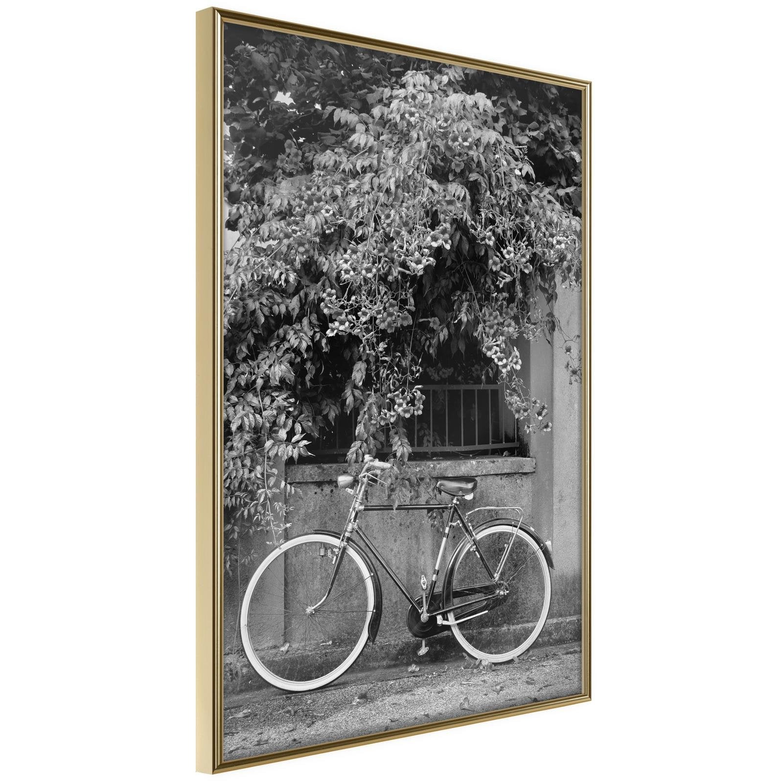 Läs mer om Inramad Poster / Tavla - Bicycle with White Tires - 30x45 Guldram