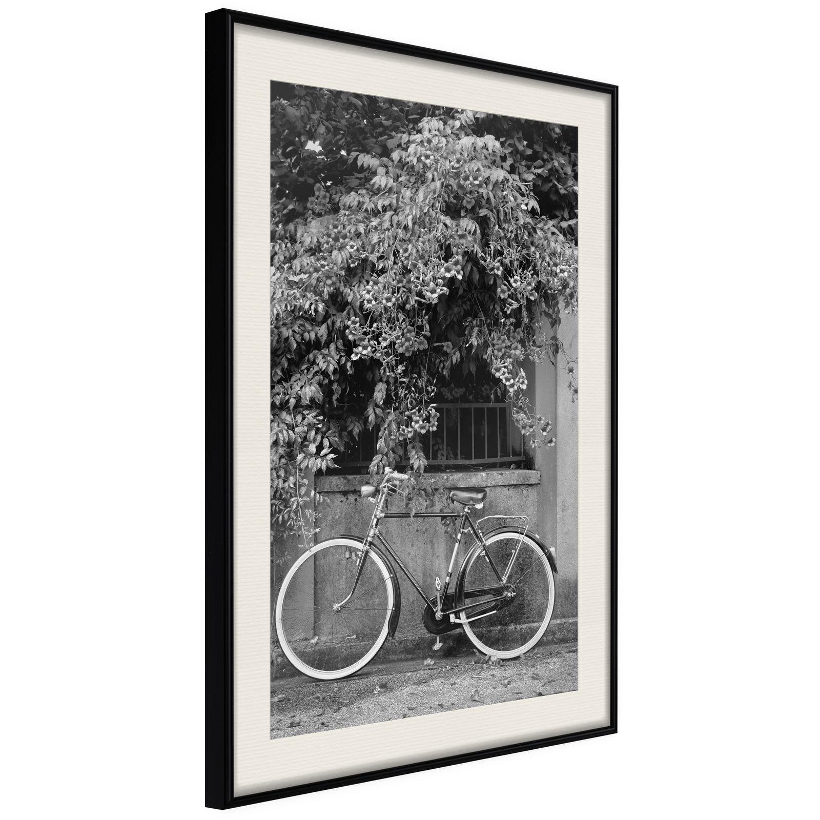 Läs mer om Inramad Poster / Tavla - Bicycle with White Tires - 20x30 Svart ram med passepartout
