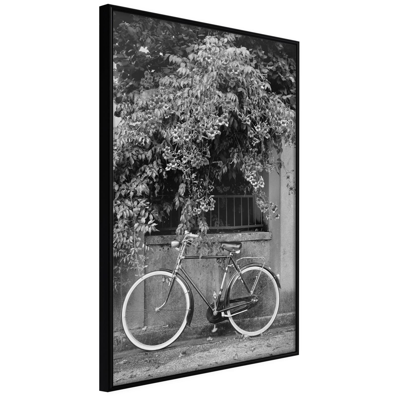 Läs mer om Inramad Poster / Tavla - Bicycle with White Tires - 30x45 Svart ram