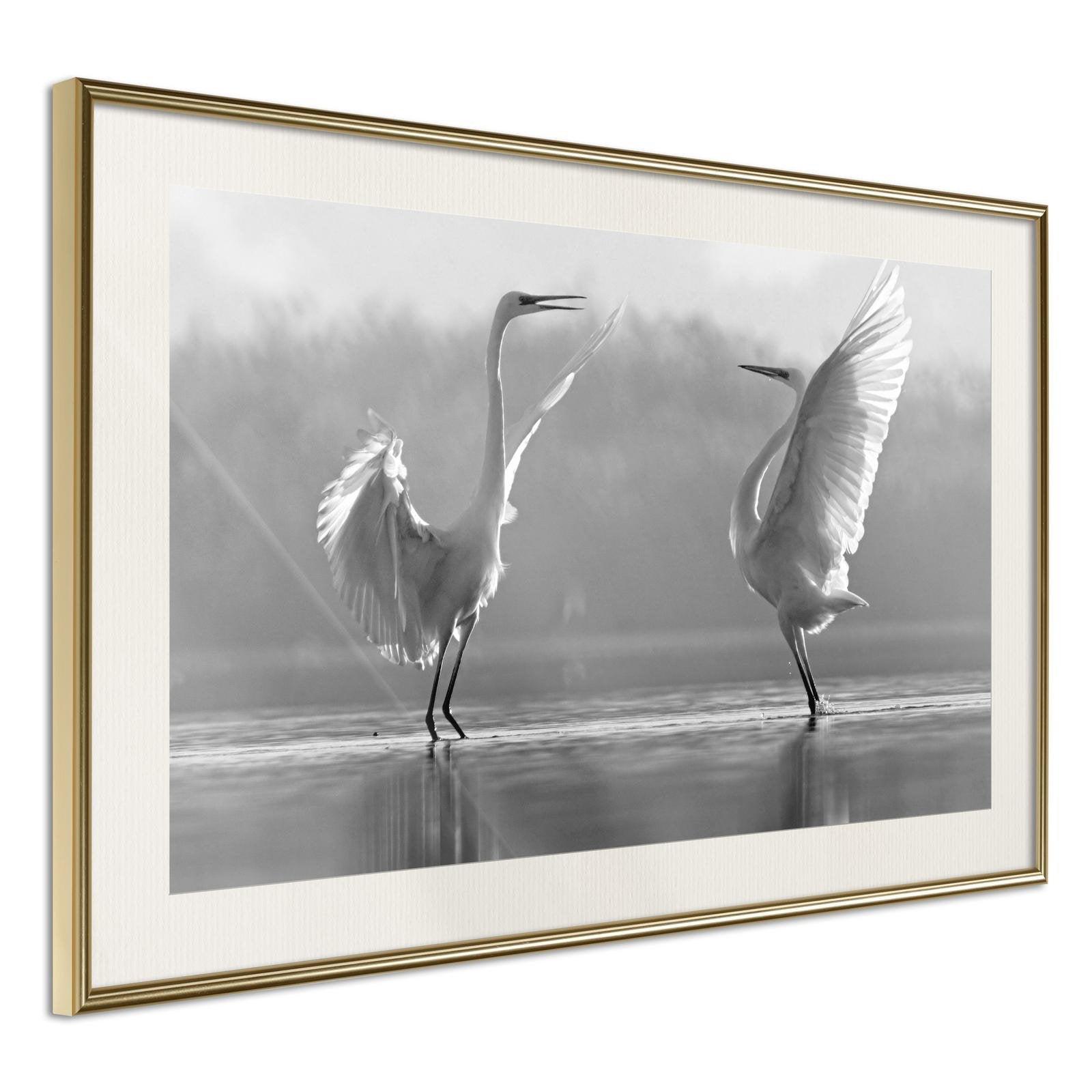 Inramad Poster / Tavla - Black and White Herons - 45x30 Guldram med passepartout