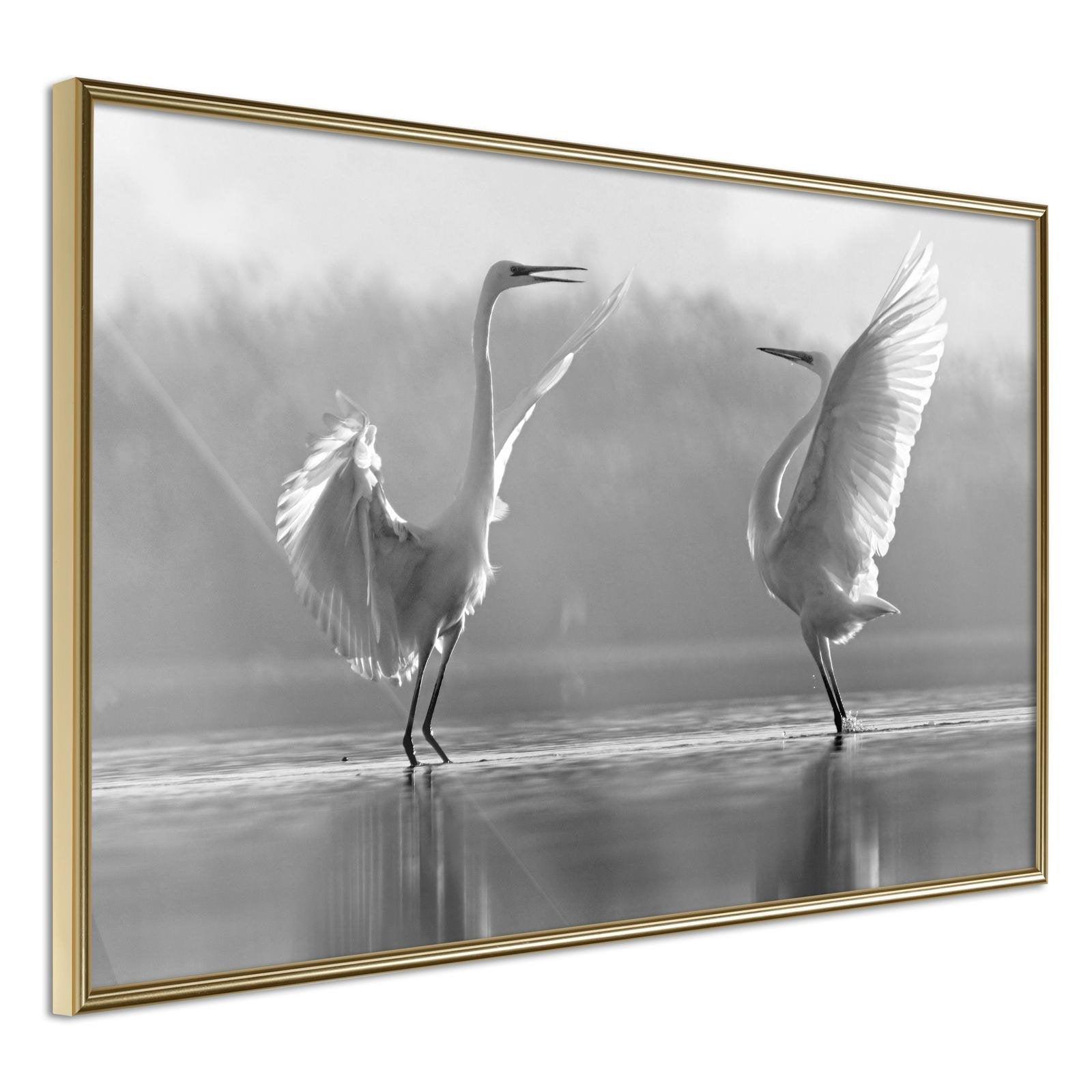 Läs mer om Inramad Poster / Tavla - Black and White Herons - 30x20 Guldram