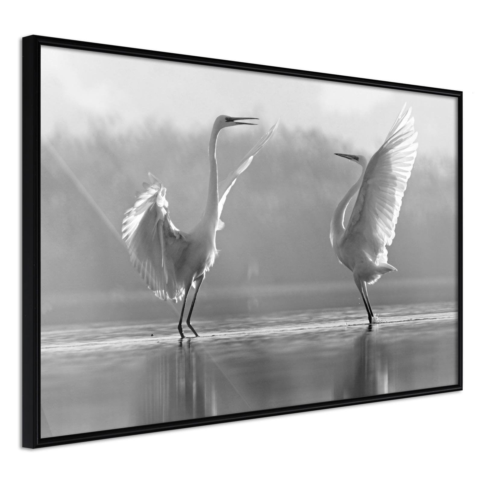Läs mer om Inramad Poster / Tavla - Black and White Herons - 45x30 Svart ram
