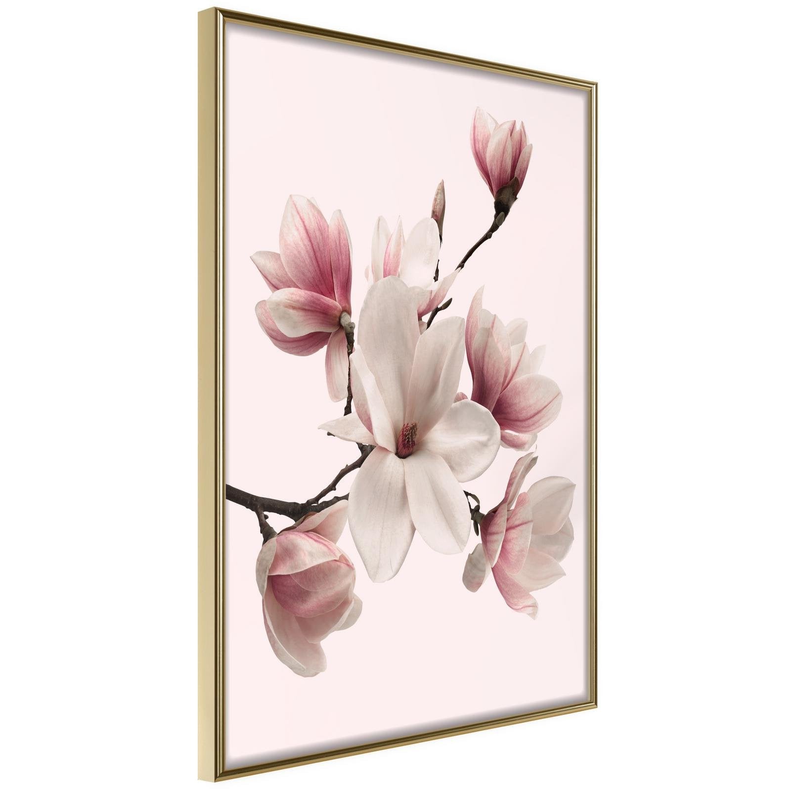 Läs mer om Inramad Poster / Tavla - Blooming Magnolias I - 40x60 Guldram