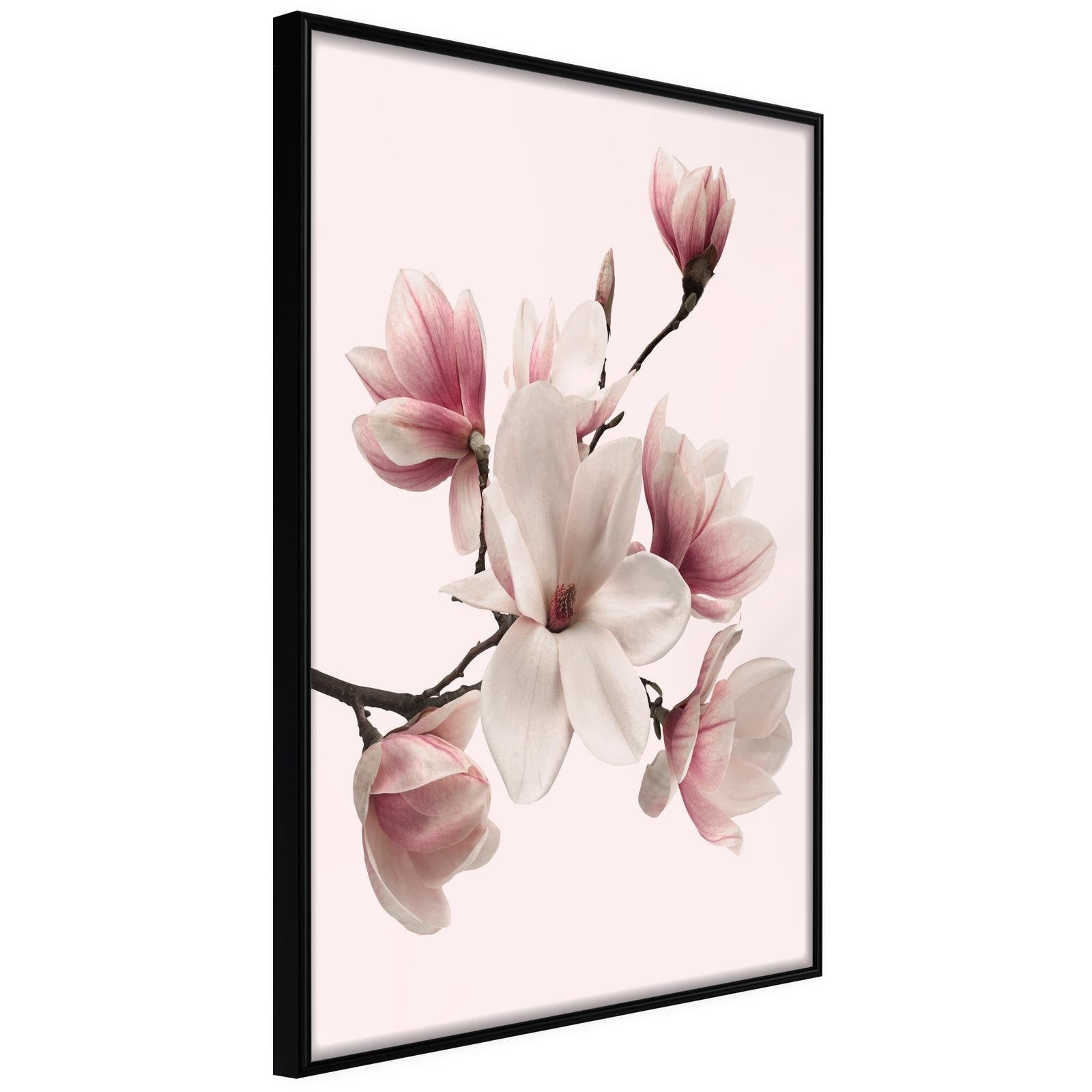 Läs mer om Inramad Poster / Tavla - Blooming Magnolias I - 20x30 Svart ram