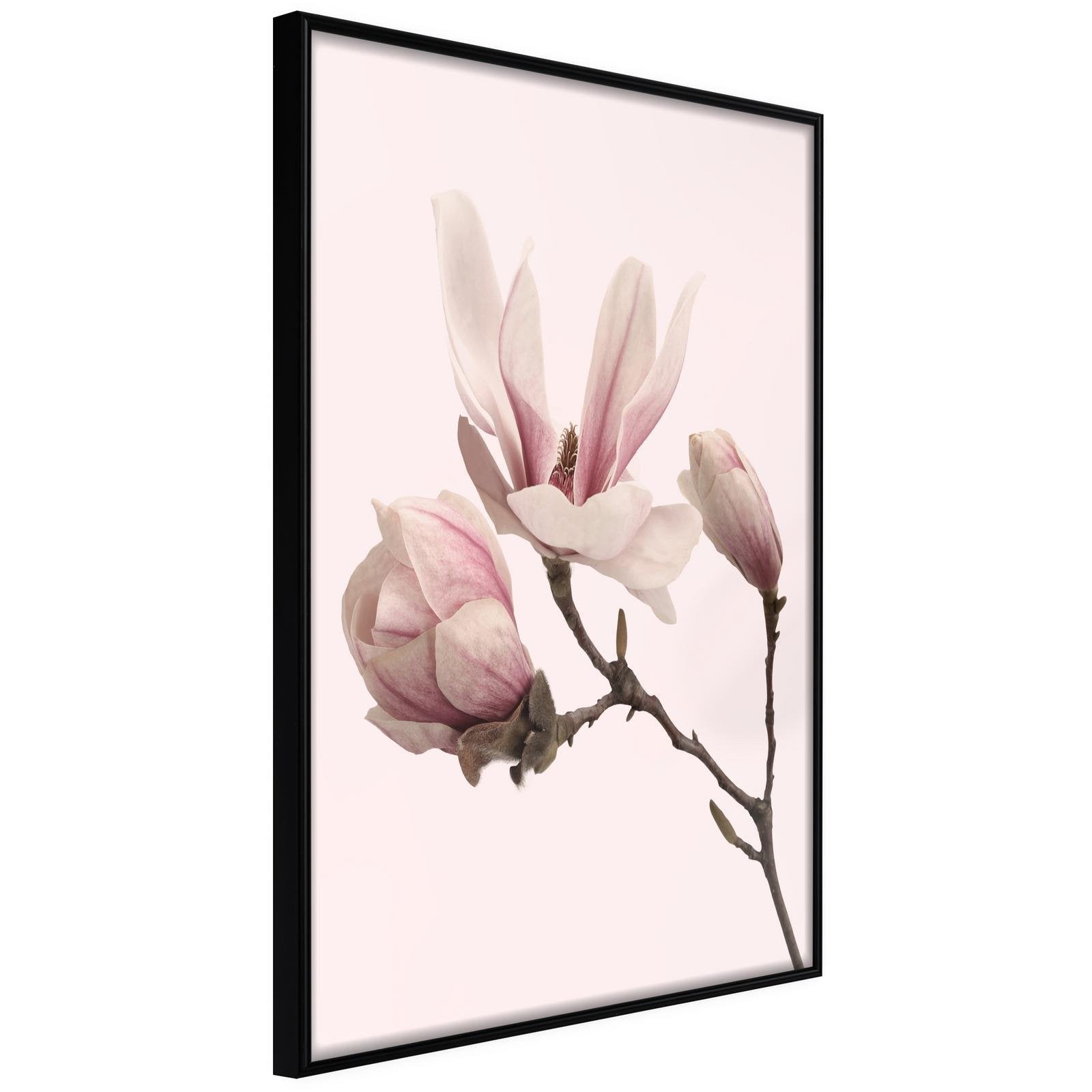 Läs mer om Inramad Poster / Tavla - Blooming Magnolias II - 30x45 Svart ram