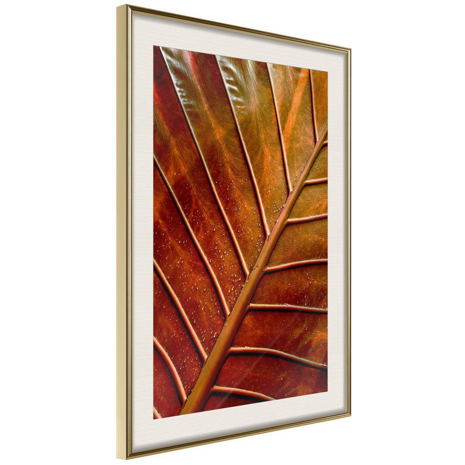 Läs mer om Inramad Poster / Tavla - Bronze Leaf - 20x30 Guldram med passepartout