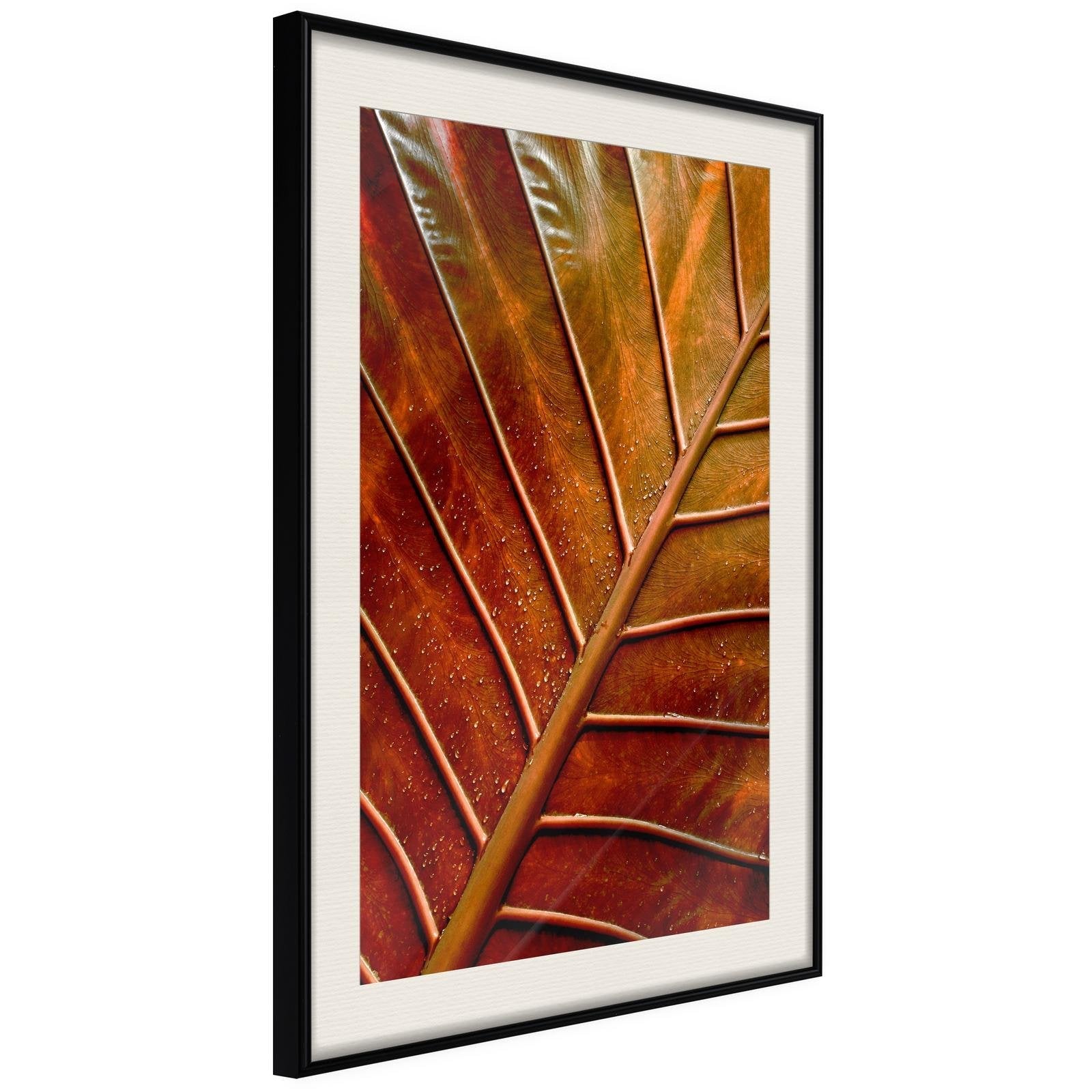 Inramad Poster / Tavla - Bronze Leaf - 20x30 Svart ram med passepartout