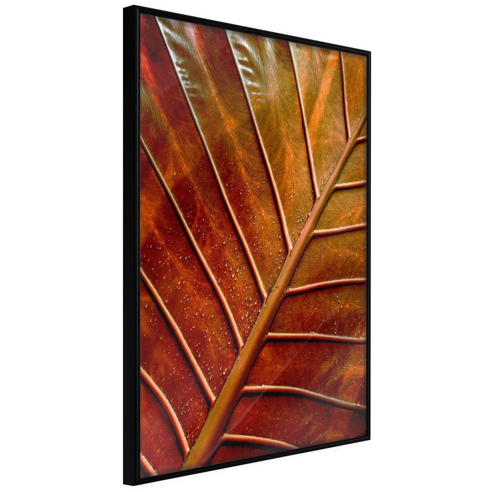 Inramad Poster / Tavla - Bronze Leaf - 40x60 Svart ram