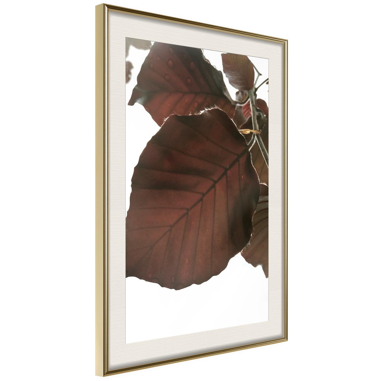 Läs mer om Inramad Poster / Tavla - Burgundy Tilia Leaf - 20x30 Guldram med passepartout