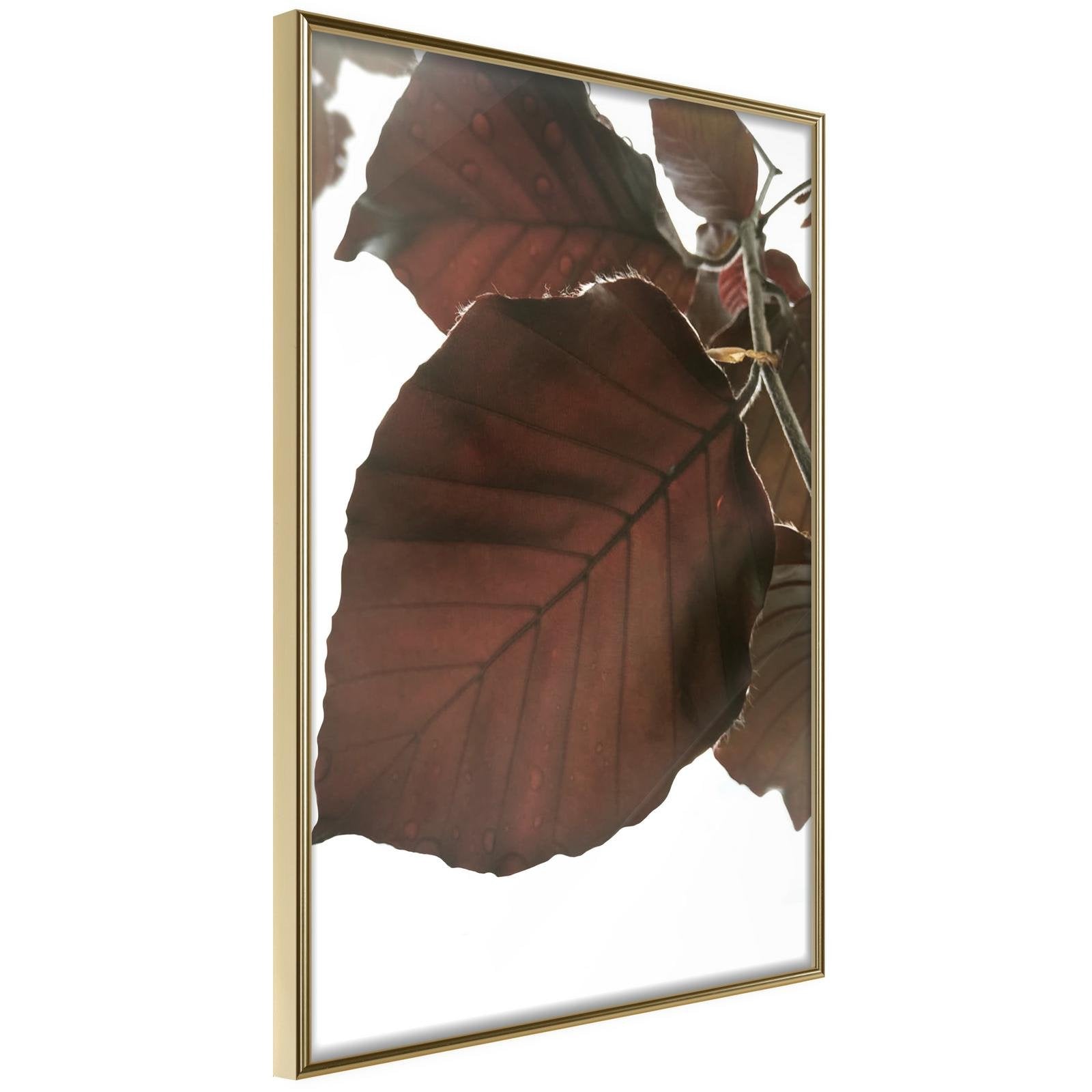 Läs mer om Inramad Poster / Tavla - Burgundy Tilia Leaf - 30x45 Guldram