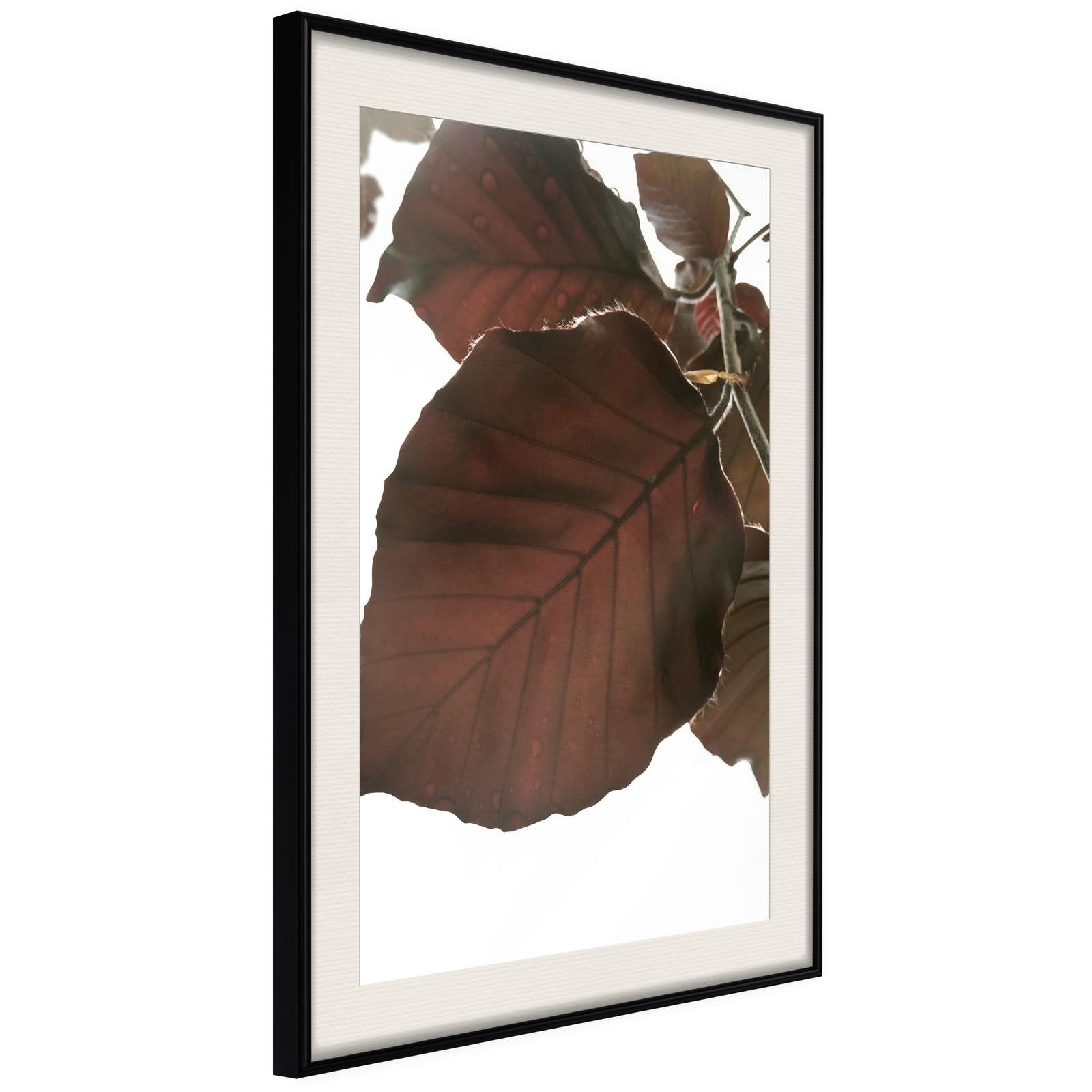 Läs mer om Inramad Poster / Tavla - Burgundy Tilia Leaf - 40x60 Svart ram med passepartout