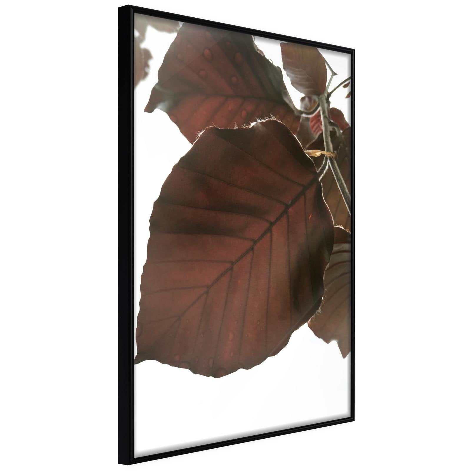Läs mer om Inramad Poster / Tavla - Burgundy Tilia Leaf - 20x30 Svart ram