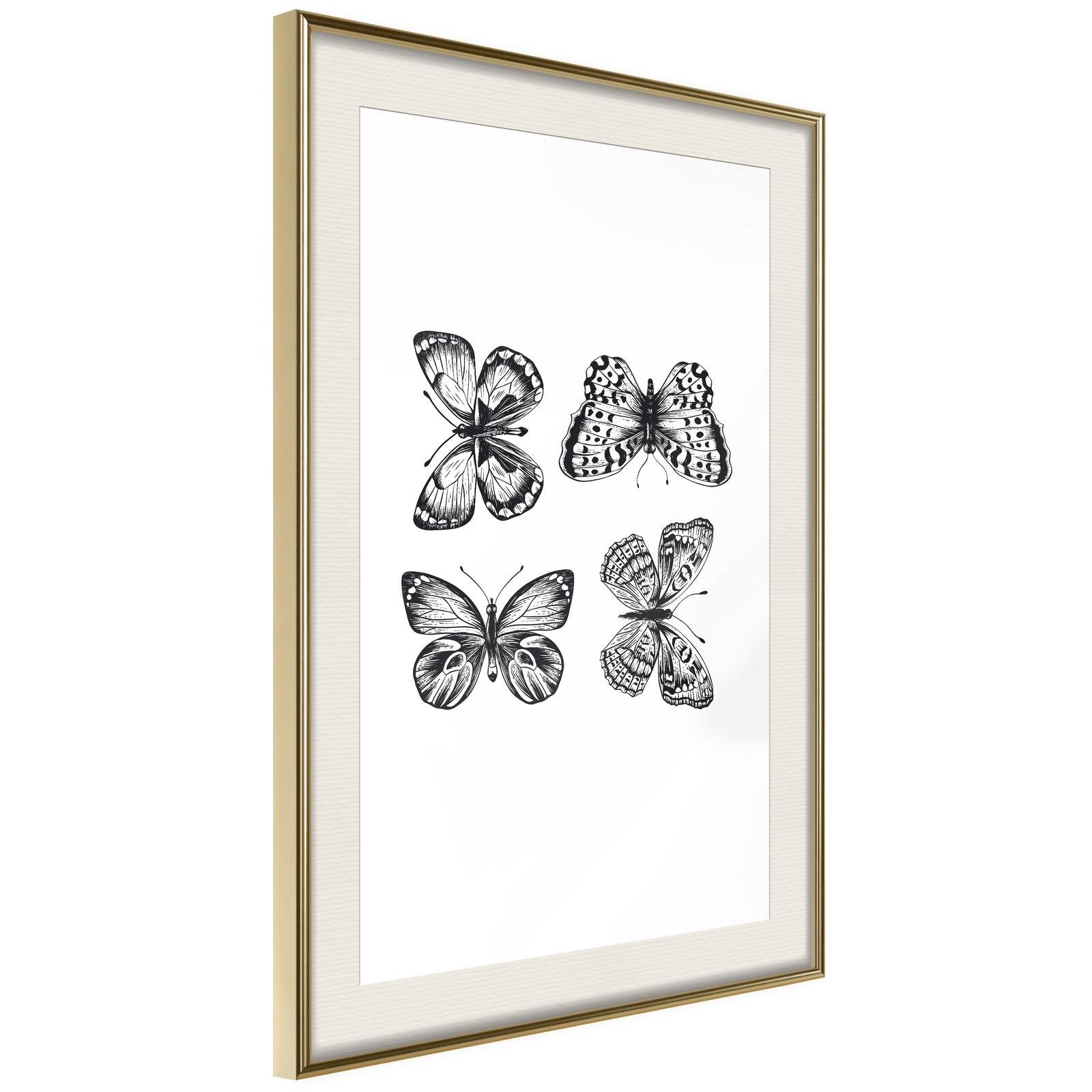 Läs mer om Inramad Poster / Tavla - Butterfly Collection III - 40x60 Guldram med passepartout