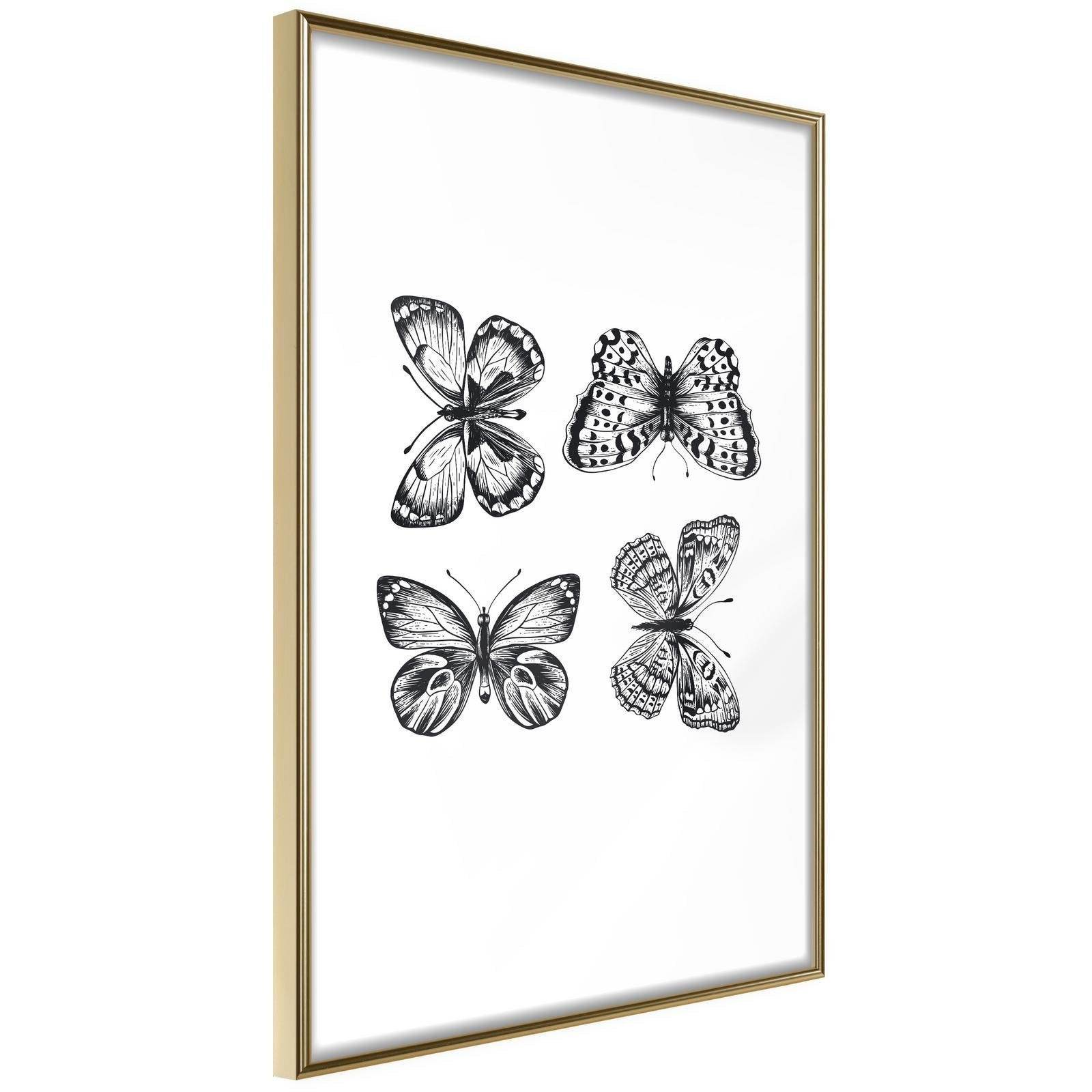 Läs mer om Inramad Poster / Tavla - Butterfly Collection III - 20x30 Guldram