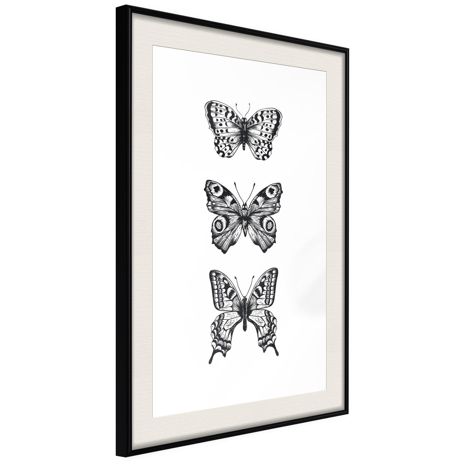 Läs mer om Inramad Poster / Tavla - Butterfly Collection III - 20x30 Svart ram med passepartout